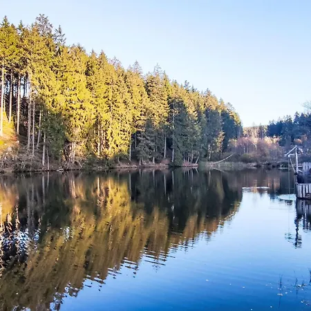 Bocksbergperle 3 By Interhome Apartment Goslar