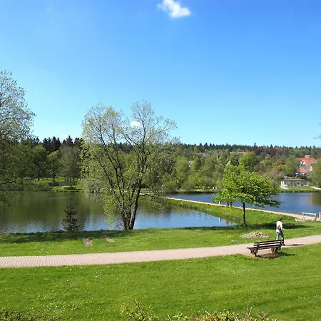 Bocksbergperle 3 By Interhome Apartment Goslar