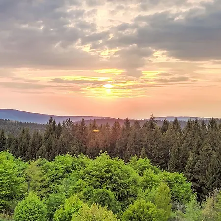 Bocksbergperle 3 By Interhome Apartment Goslar