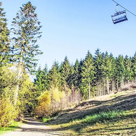 Bocksbergperle 3 By Interhome Apartment Goslar